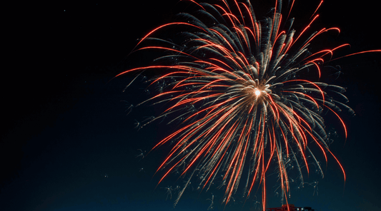 How to Keep Your Dog Calm and Safe During Fireworks